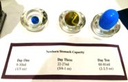 Newborn Stomach Capacity